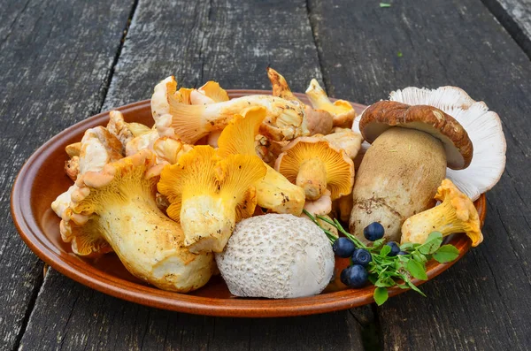 Almuerzo en el bosque, setas silvestres y arándanos en un plato — Foto de Stock