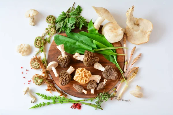 Wiosna dzikie jedzenie, grzyby i rośliny, widok z góry — Zdjęcie stockowe