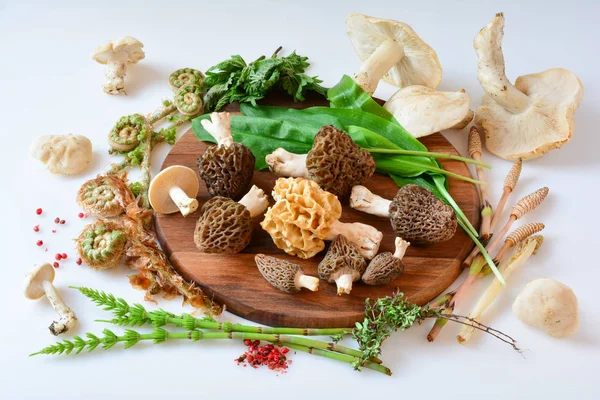 Nourriture sauvage printanière, champignons et plantes, vue latérale — Photo