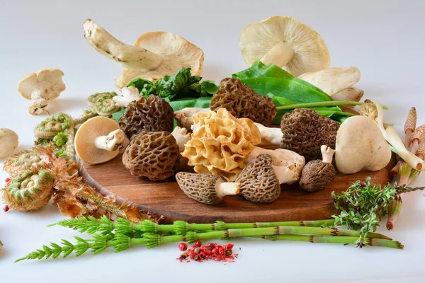 Nourriture sauvage printanière, champignons et plantes, vue latérale, gros plan — Photo