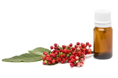 Pistacia mercimek, lentisk kırmızı böğürtlen ve beyaz arka planda izole edilmiş gerekli yağ şişesi.