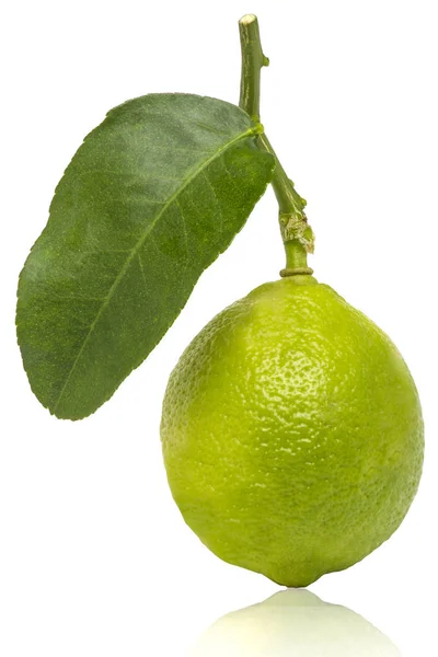 Citronfrukt Sin Gren Med Ett Grönt Blad Isolerat Vit Bakgrund — Stockfoto