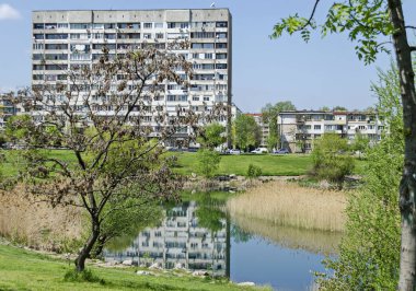 Erken bahar yeşil, Kuru reed veya acele ve yerleşim bölgesinde Drujba, Sofya, Bulgaristan Güzellik göl kenarında ev  