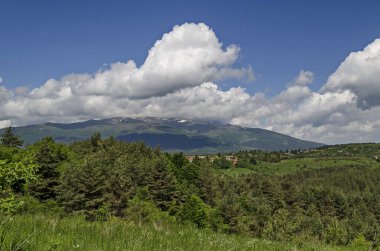 Bahar sahne dağ glade, orman ve Bulgar köyü Plana, Plana dağ, Bulgaristan yerleşim bölgesi   