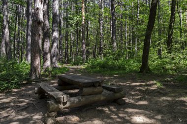 agnetic manzara yeşil güzel yol, ahşap masa, Vitosha mountain, tezgah ile iğne yapraklı ve yaprak döken orman mix Knyazhevo district, Sofia, Bulgaristan