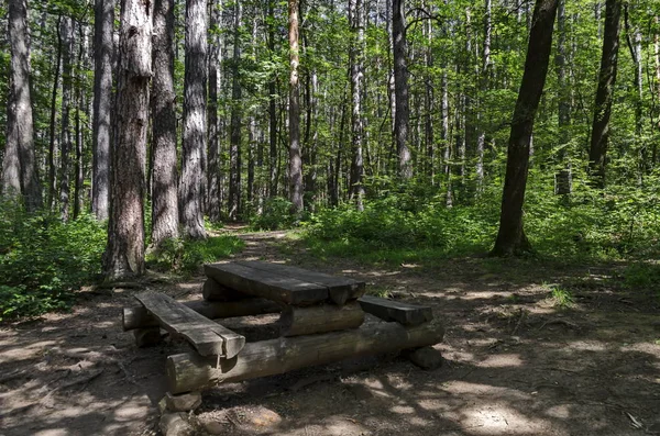 agnetic manzara yeşil güzel yol, ahşap masa, Vitosha mountain, tezgah ile iğne yapraklı ve yaprak döken orman mix Knyazhevo district, Sofia, Bulgaristan