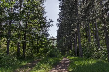 Tren İstasyonu ve eski Ski Tow ya da kayak asansörün güneşli ormanında, Kopitoto, Vitosha Dağı, Bulgaristan 'a doğru Knyazhevo bölgesinden 