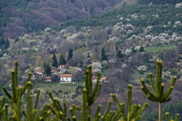 Panorama Zasněžená Střecha Jarní Úpatí Hory Glade Lesní Mix Obytné — Stock fotografie