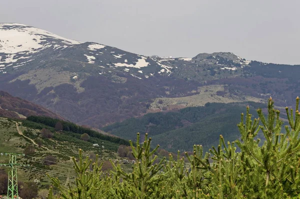 Scène Avec Sommet Enneigé Pied Printanier Montagne Clairière Mélange Forêt — Photo