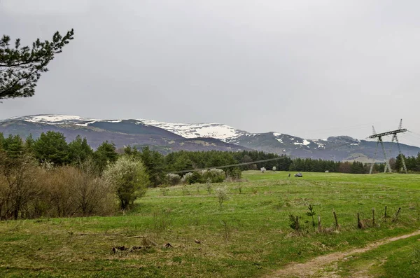 Paysage Nature Printanière Avec Forêt Mixte Ligne Transport Électricité Clairière — Photo