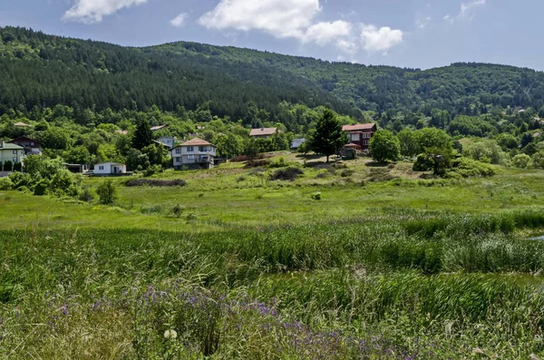 Frühlingshaft Grüne Wälder Lichtungen Schilf Oder Schilf Und Haus Einem — Stockfoto