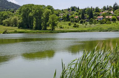 Bahar yeşil orman, glade, reed veya acele ve yerleşim bölgesinde Marchaevo, Sofya, güzellik göl kenarında ev Vitosha mountain, Bulgaria