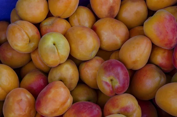 Heap Many Ripe Apricot Fruits Can Used Background Sofia Bulgaria — Stock Photo, Image