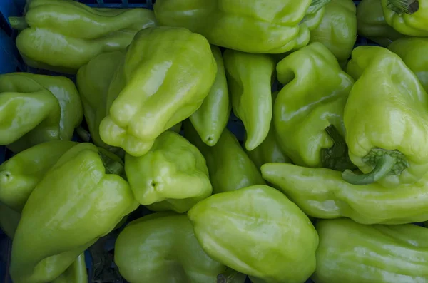 堆新鲜的青椒辣椒在夏天关闭 索非亚 保加利亚 — 图库照片
