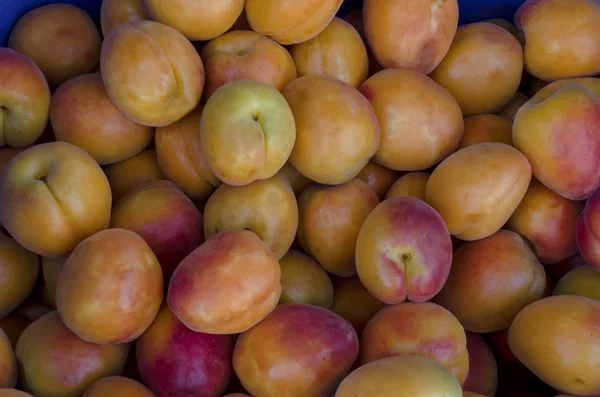 Heap Many Ripe Apricot Fruits Can Used Background Sofia Bulgaria — Stock Photo, Image