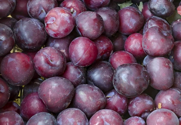 Heap Muitos Frutos Ameixa Madura Pode Ser Usado Como Fundo — Fotografia de Stock