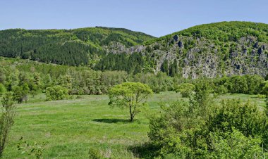 Bahar yeşil orman, rock, glade ve yakın Pasarel village, Bulgaristan Lozen dağ Vadisi 