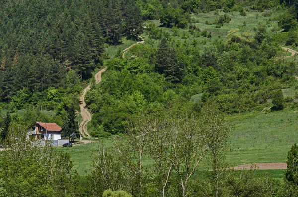 Forêt Verte Printanière Clairière Vallée Maison Dans Montagne Lozen Près — Photo