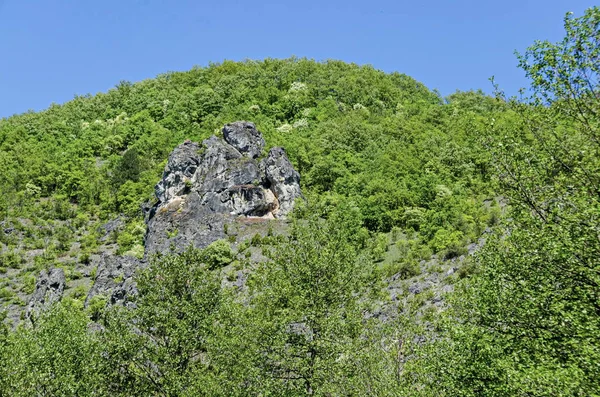 Frühlingshaft Grüne Wälder Felsen Lichtungen Und Täler Rauen Gebirge Der — Stockfoto