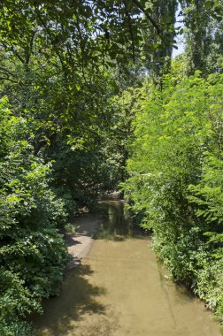 yeşil yaprak döken orman ve nehir North Park, Bulgaristan ile yaz aylarında doğanın agnetic manzara