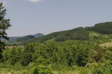 Yaz yeşil orman, glade, vadi ve Lozen dağ Pasarel village, Bulgaristan yakın bir yerleşim bölgesi  