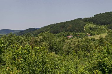 Yaz yeşil orman, glade, vadi ve Lozen dağ Pasarel village, Bulgaristan yakın bir yerleşim bölgesi   