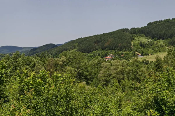 Forêt Verte Estivale Clairière Vallée Quartier Résidentiel Dans Montagne Lozen — Photo