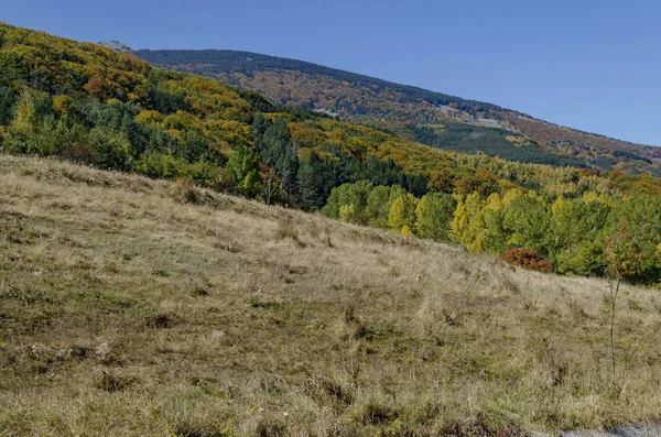 Malebnou Podzimní Krajinou Jehličnatých Listnatých Lesů Glade Pohoří Vitoša Bulharsko — Stock fotografie