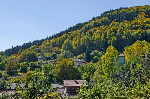 Sonbahar Renkli Orman Evde Villaje Zheleznitsa Sofya Vitosha Mountain Bulgaria — Stok fotoğraf