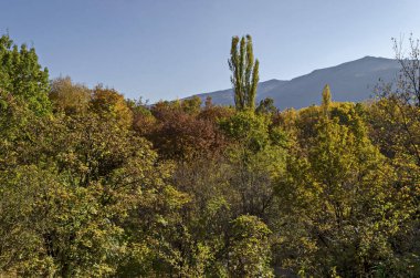 Doğal arka plan bölümünden sonbahar çok renkli orman üzerinde mavi gökyüzü, South park, Sofia, Bulgaristan 