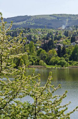 Bahar pitoresk Barajı çevre doğru bak, köy kiraz ağacında çiçeği ve kış Vitosha mountain, Sofya, Bulgaristan ile Plana dağ Pancharevo başvurmak 
