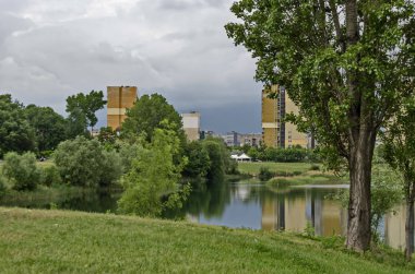 doğru biçme, makine, kesme, çim, park, bahçıvan, kesici, bakım, kesim, bulanıklık, motoru, ekipman, alan, Bahçe, Bahçe, renk, yeşil, büyüme, enstrüman, iş, taze, çim, sezon, ilkbahar, cihaz, itme, açık, renkli, yaprak, natu görünümü