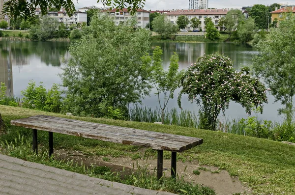 Vue Vers Tonte Machine Coupe Herbe Parc Jardinier Coupeur Soins — Photo