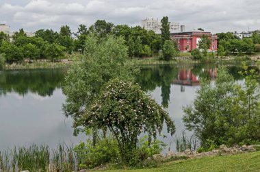 Yerleşim bölgesi mahalle bir göl yeşil ağaçlar, çalılar ve çiçekler, Drujba, Sofya, Bulgaristan ile birlikte bir parçası bahar Panoraması 