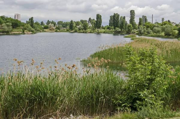 Panorama Primavera Una Parte Del Barrio Residencial Junto Lago Con — Foto de Stock