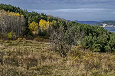 Glade, hill, kıyı, yapraklı ve iğne yapraklı ağaçlar etrafında Batak Baraj Gölü, Rodop Dağları, Bulgaristan ile orman şaşırtıcı sonbahar manzarası  