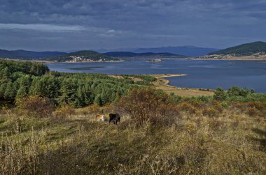 Sonbahar görünümü şaşırtıcı tatil köyü Tsigov chark resort ve Batak Baraj Gölü, Rodop Dağları, Bulgaristan
