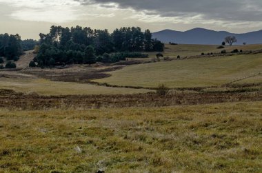 Kıyı sonbahar glade, orman ve Rodop Dağları, Bulgaristan Hill'deki Batak Baraj Gölü Panoraması 
