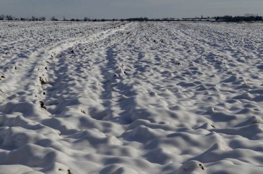 Zavet şehir, Bulgaristan, Avrupa yakınlarında kışın kaplı kar Ekim için hazırlanan açık alan taze bir manzara  