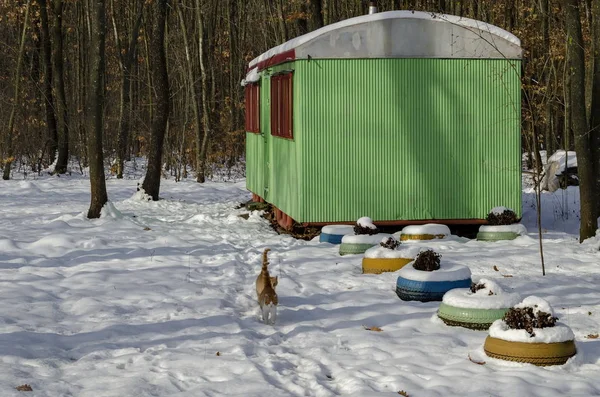 Snöig Mysig Skrymsle Med Träskydd För Vinter Avkoppling Med Vän — Stockfoto