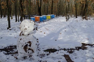 Snowy view toward apiary with bee hive and snowman in the winter field at deciduous forest, Zavet town, Bulgaria  clipart