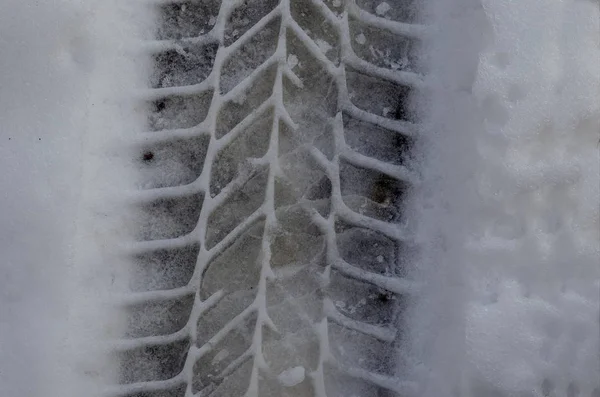 Zavet ブルガリア ヨーロッパ付近の冬の雪のフィールド上のホイールの自然な背景を追跡します — ストック写真