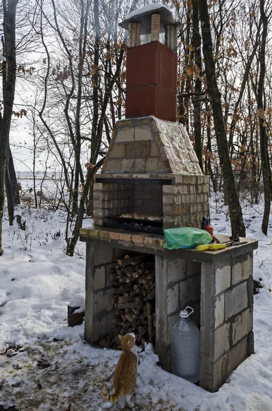 Backsteingemäuer Zum Grillen Verschneiten Wald Mit Saftigen Steaks Die Auf — Stockfoto