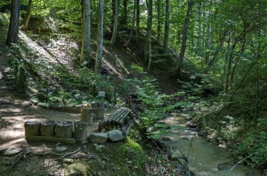 Orman, Vrerestitsa nehri ve Todorini dolkie zirvesi altında dinlenmek için yer ile Balkan dağının güzel görünümü, Klisura Manastırı ve Varshets kasaba yakınında, Bulgaristan, Avrupa  