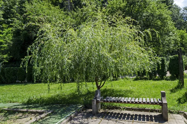 A beautiful bench under the shadow of a fresh weeping willow  in the  monastery place for relax, mountain Balkan, near Varshets town, Bulgaria, Europe