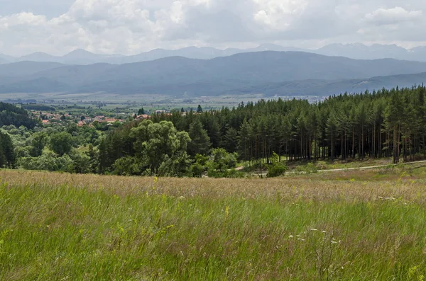 Scène Printanière Avec Clairière Forêt Quartier Résidentiel Village Bulgare Alino — Photo