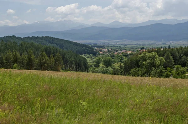 Scène Printanière Avec Clairière Forêt Quartier Résidentiel Village Bulgare Alino — Photo