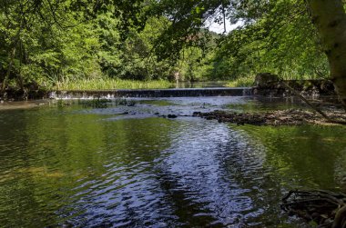 Yaz doğası elektromanyetik manzara, yeşil yaprak döken orman ve küçük şelale ile Iskar Nehri lozen Dağı yakın yukarı, Bulgaristan, Avrupa 