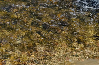 Iskar Nehri 'nde yansıma ile su ilginç doğal arka plan, lozen Dağı, Bulgaristan  