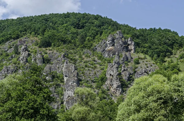 Große Und Gut Geformte Felsen Ähneln Menschen Tieren Und Anderen — Stockfoto